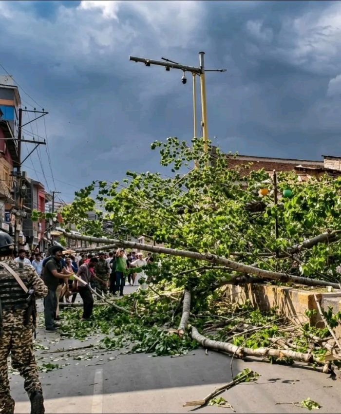 Man dies, wife critical after tree falls amid strong winds in Anantnag