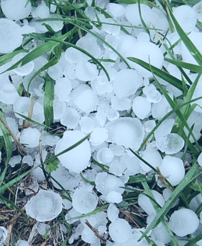 NC Concerned Over Hailstorm Damage in Baramulla, Budgam