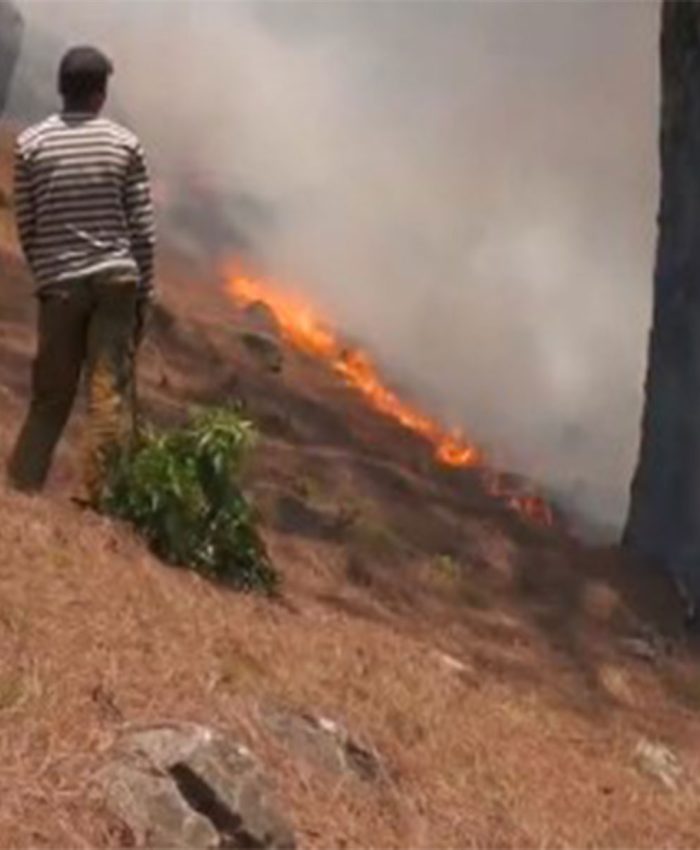 Forest fire continues to rage in Udhampur’s Narthan area for three days, firefighting efforts underway