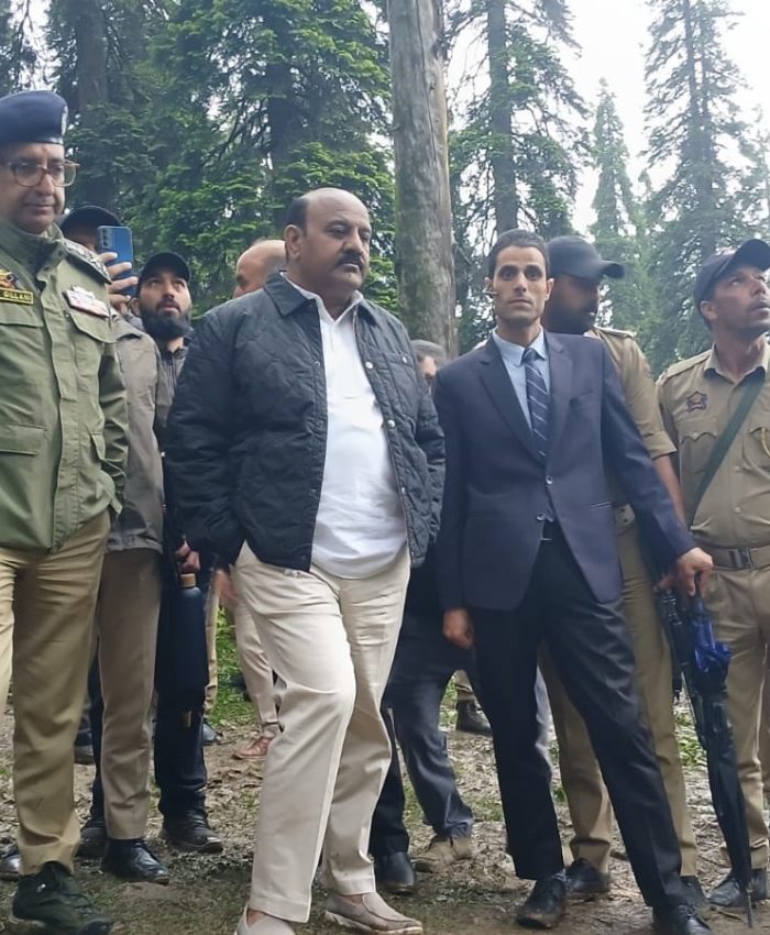 CM Sends Dy CM to Gulmarg After Gondola Disruption