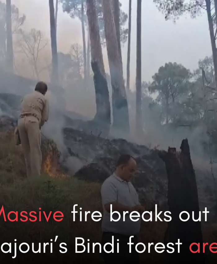 Massive fire breaks out in Rajouri’s Bindi forest area