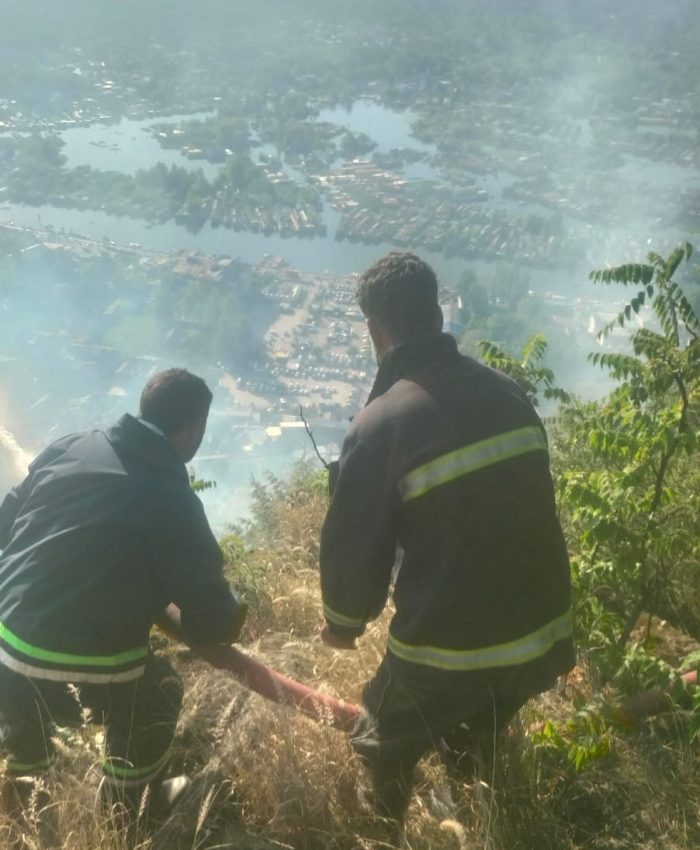 Forest Fire Contained at Shankaracharya Hills After Swift Response by Fire Services