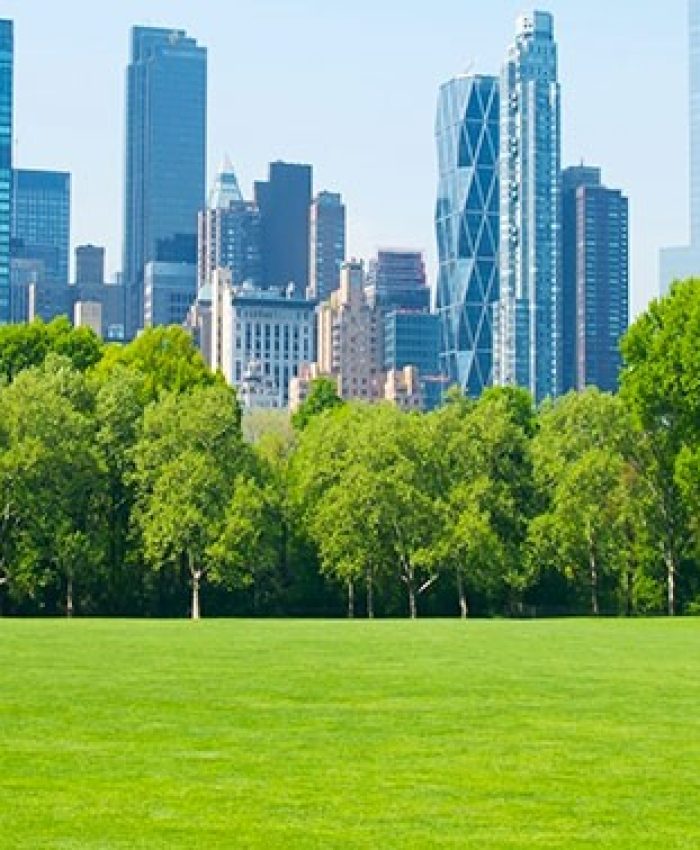 Reviving Breathing Spaces: The Need for Urban Green Areas in Kashmir Valley