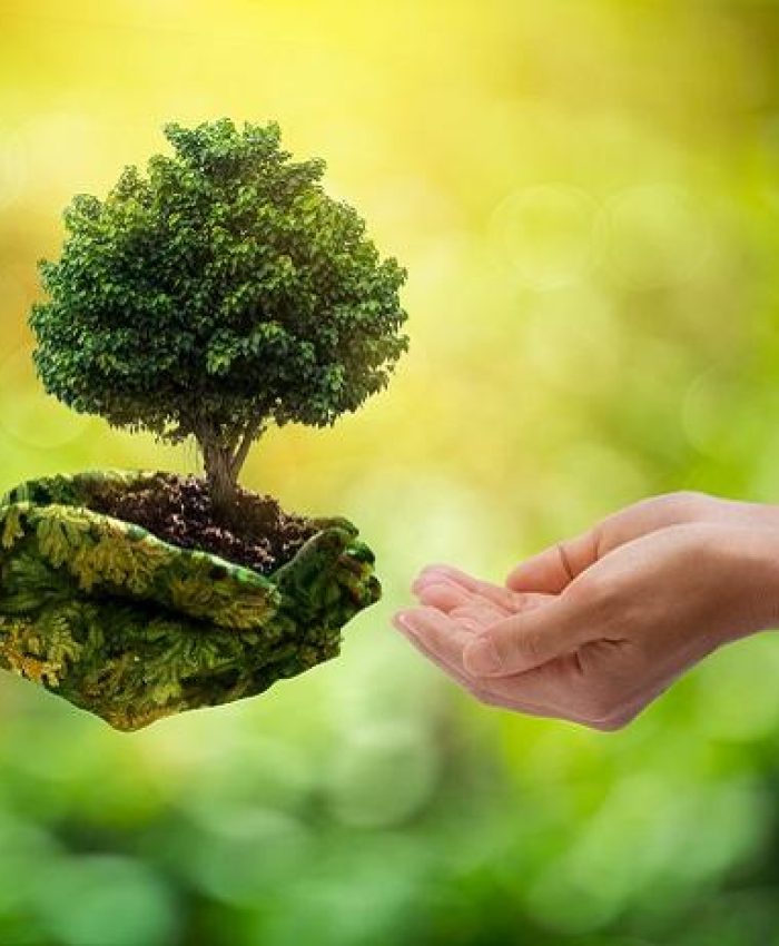 Our Environment, Our Responsibility: A Wake-Up Call