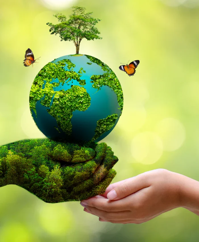 World Environment Day: Protecting Nature in an Era of Environmental Crisis