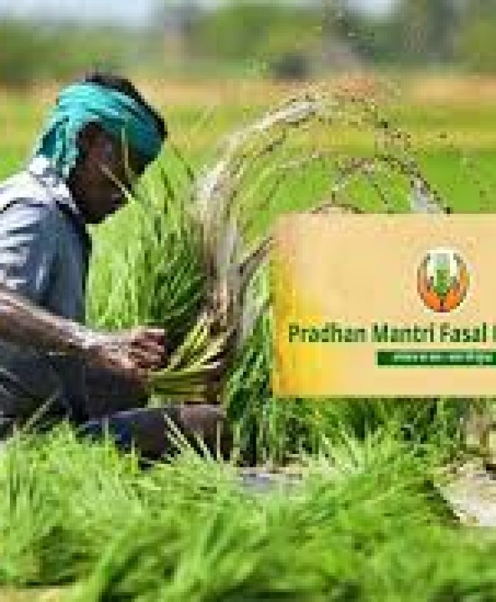 Crop Insurance Scheme Likely Within Two Months: Govt