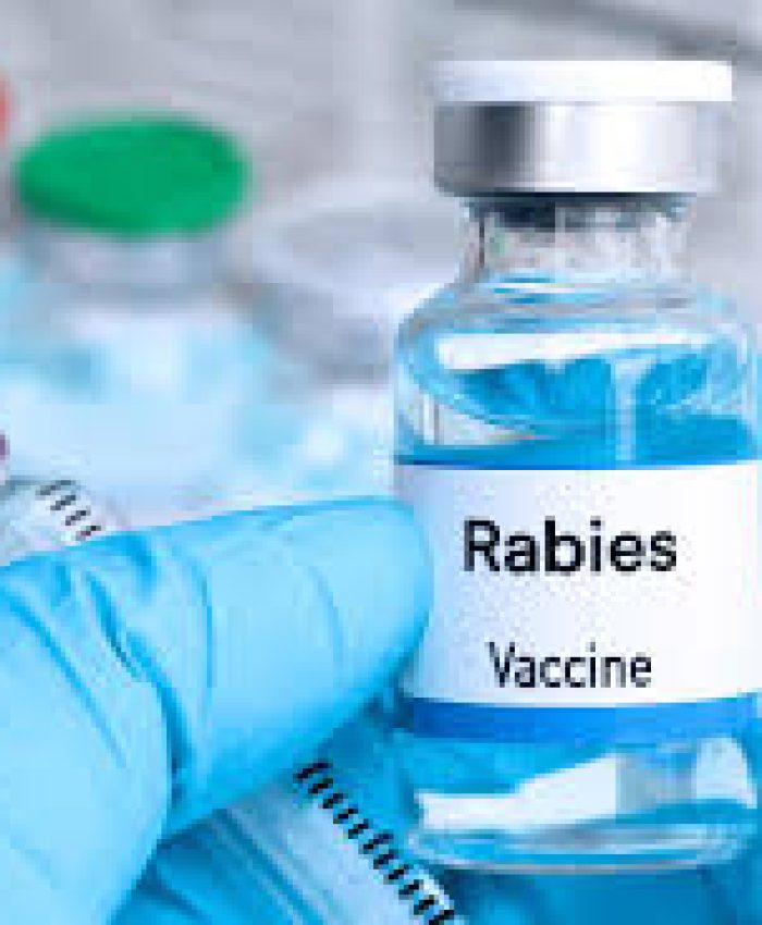 Meat Scare in Pulwama Village; 108 Given Anti-Rabies Vaccine
