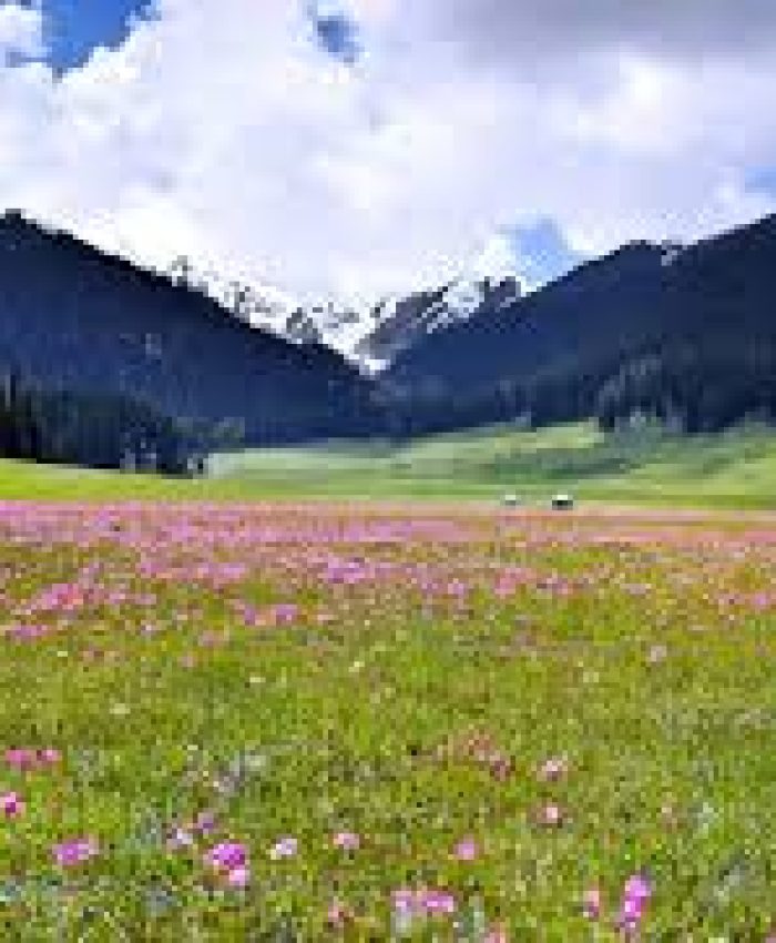 Residents Seek Reopening of Bangus Valley for Tourists