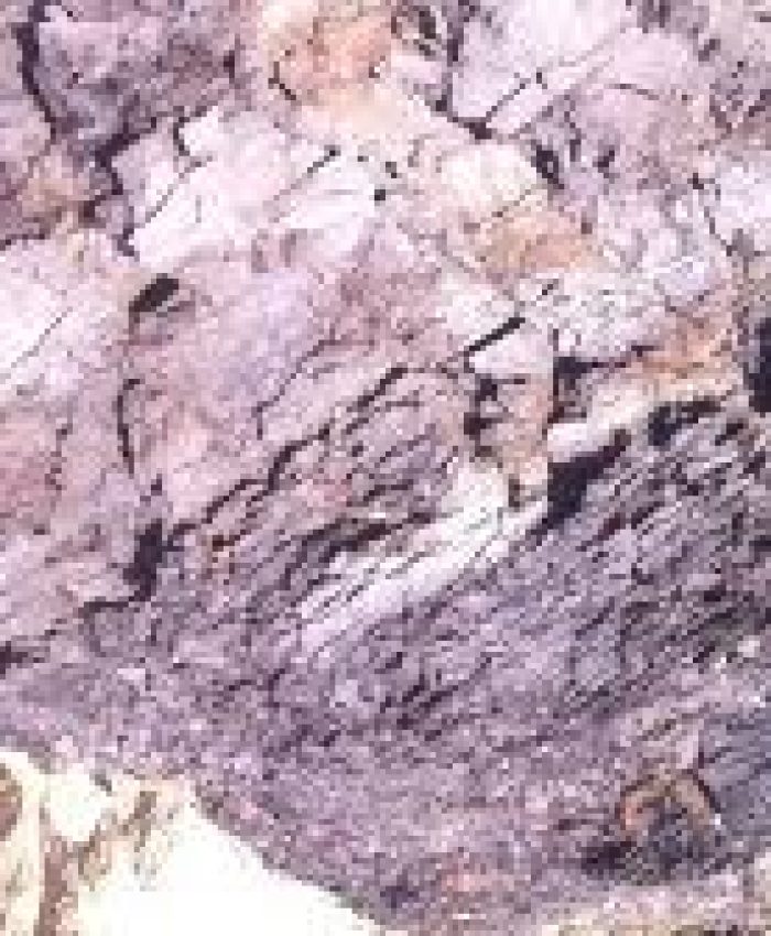 J&K has 27.55 million tonnes of lignite resources