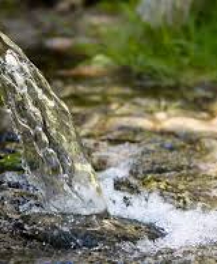 World Environment Day:Kashmir’s Vanishing Springs Signal a Growing Water Crisis