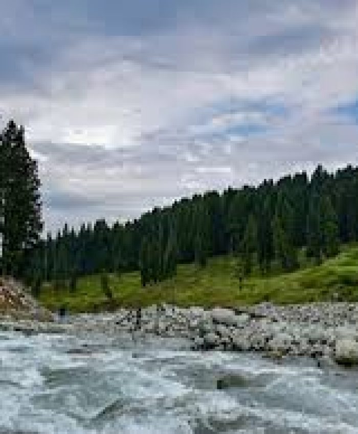 Doodhpathri Sees Tourist Rush After Reopening