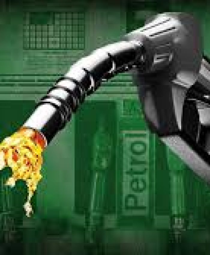 Government making all efforts to ensure availability of petrol, diesel and LPG, steps taken against diversion
