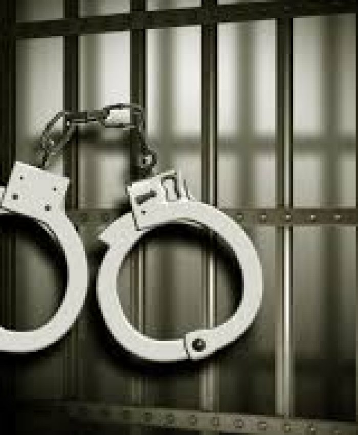 NEET-UG 2026 accused sent to judicial custody till June 6