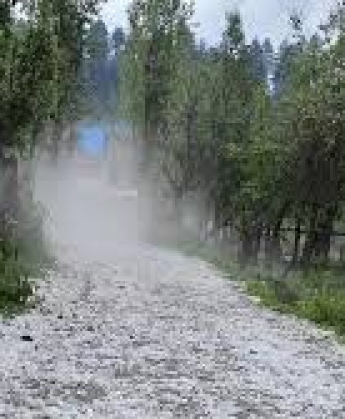 Hailstorm inflicts losses worth ‘millions’ to Kashmir’s fruit industry